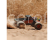 Arrma Quake 223S BLX 2WD 1:10 RTR zelená