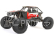 RC auto Axial Capra 1.9 4WS 1:10 RTR, černá