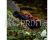 RC auto Axial RBX10 Ryft 4WD 1:10 RTR, oranžová