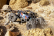 Axial RR10 Bomber - stavebnice