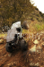 Axial Wraith Rock Racer 4WD - 1/10 elektro, 2,4 GHz - RTR bez baterie