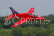 RC letadlo BAE Hawk 1042mm s EDF 80mm ARF