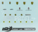 Bbr-models Ferrari Decals - High Quality - With Threads Of Real Chrome 1:43 /
