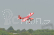 BH150 Super Decathlon 2450mm ARF