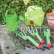 Bigjigs Toys Zahradní set nářadí plastový zelený 3ks