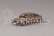 Abrex Škoda Rapid 136 (1987) 1:43 - Hnědá Kamenná