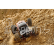 DEMENTOR XP 6S - Model 2021 1/8 Monster Truck 4WD - RTR - Brushless Power 6S