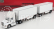 Dm-models Peterbilt 579 Truck Auto-articolato 2011 1:50 Bílá