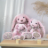 Doudou Histoire d´Ours Plyšová hračka růžový králíček 25 cm