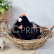 Doudou Histoire d´Ours Plyšová slepička černá 28 cm