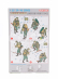 Dragon armor Accessories Sturmpionier Eastern Front Military Figures 1942 1:35 /