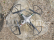 Dron K800HD