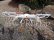 RC dron Sky Watcher 3