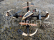 RC dron Zhan X4