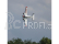 RC letadlo E-flite Beechcraft D18 1.5m PNP