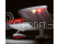 E-flite Cirrus SR22T 0.7m SAFE Select BNF Basic