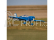 E-flite Commander mPD 1.4m SAFE Select BNF Basic