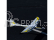 RC letadlo E-flite Conscendo Evolution 1.5m PNP
