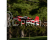 E-flite Eratix 3D 0.86m BNF Basic