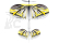 RC letadlo E-flite Night Vapor 0.38m BNF Basic
