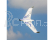 RC letadlo E-flite Opterra 2.0m SAFE Select BNF Basic