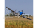 RC letadlo E-flite P-51D Mustang 1.2m PNP
