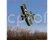 RC letadlo E-flite S.E.5a 0.9m PNP