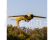 RC letadlo E-flite T-28 Trojan 2.0m PNP