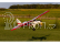 RC letadlo E-flite Turbo Timber SWS 2.0m ARF