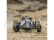 ECX AMP Desert Buggy 1:10 RTR bílý