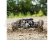 ECX AMP Desert Buggy 1:10 RTR bílý