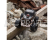 ECX Barrage Doomsday BD 1.9 4WD RTR