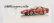Edicola Ferrari 550 Maranello 1996 1:43 Red