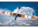 RC letadlo EVOA 3.0m Glider ARF