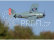 F4F Wildcat 0.5m AS3X BNF Basic