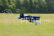 F4U Corsair V2 (Baby WB) RTF - mode 1