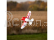Gee Bee R-2 0.5m SAFE Select BNF Basic