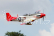 Giant P-51D Mustang EPP 1700mm ARF RED TAIL