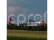 Hangar 9 P-47D Thunderbolt 1.7m 20cc ARF