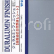 HaTF-2 Duraluminium Finish