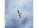 RC letadlo Hobbyzone AeroScout 2 1.1m SAFE BNF Basic
