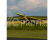 Hobbyzone Carbon Cub 1.3m SAFE+ BNF Basic