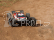 HPI Trophy Truggy RTR FLUX s 2,4GHz soupravou