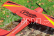 RC letadlo Cessna Glider Z50, červená + náhradní baterie