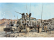 Italeri LMV LINCE (1:35)