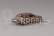 Abrex Škoda Rapid 136 (1987) 1:43 - Hnědá Kamenná