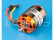 Krick Motor MAX Marine P366 790ot/V