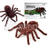 BAZAR - RC Tarantule