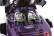 Lcd-model Mclaren F-1 Xp5 1993 1:18 Purple