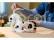 LEGO Disney - Štěňátko z filmu 101 dalmatinů